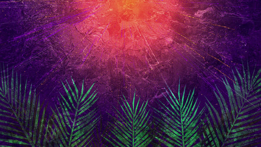 Vivid Palm Sunday 05