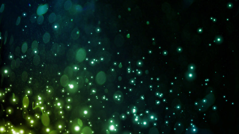 Particle Void