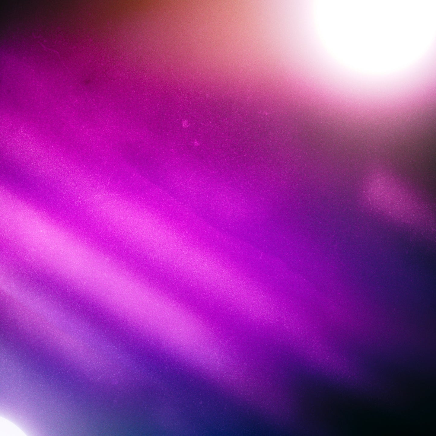 Hidden Motion Sunday