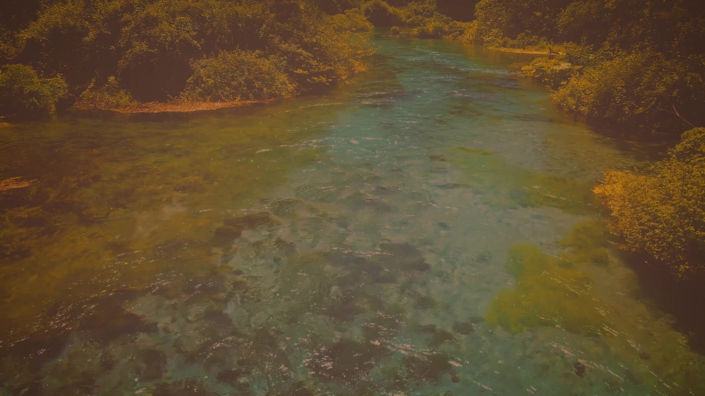 Blue Eye 10 Vintage