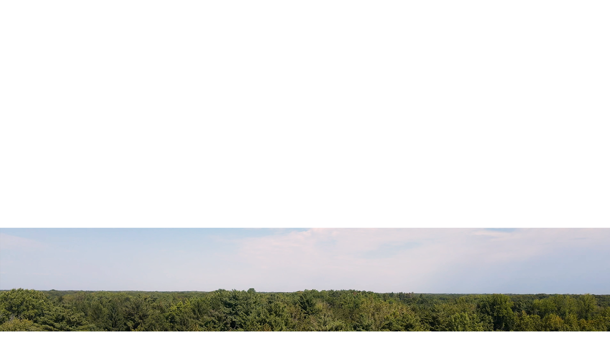 The Forest Lower Third 10 Transparency