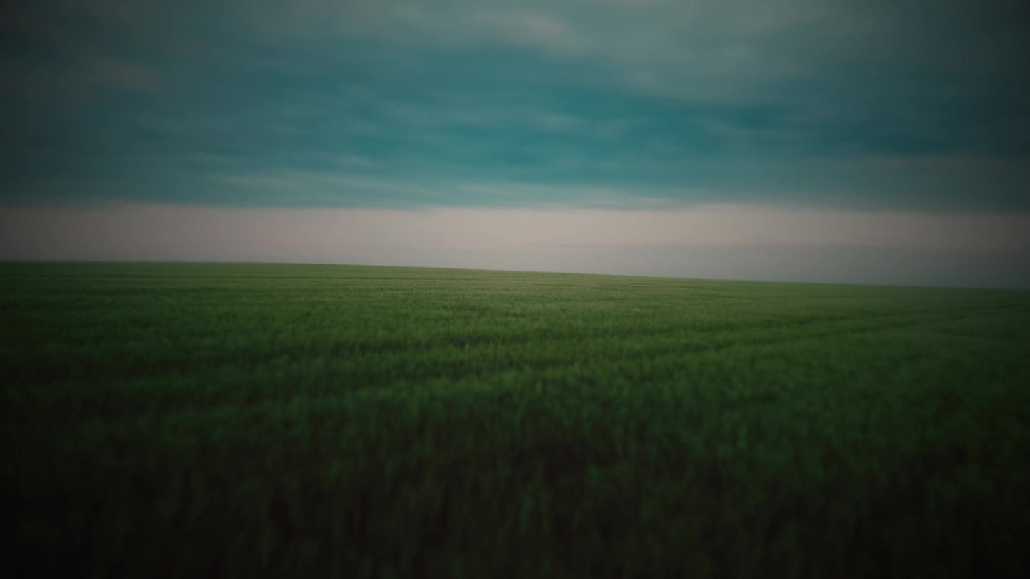 Open Fields Strafe