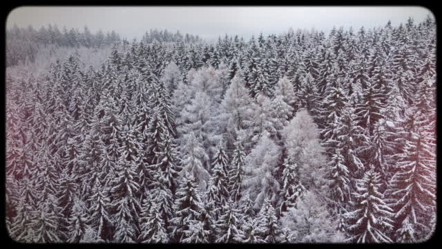 Retro Winter 07