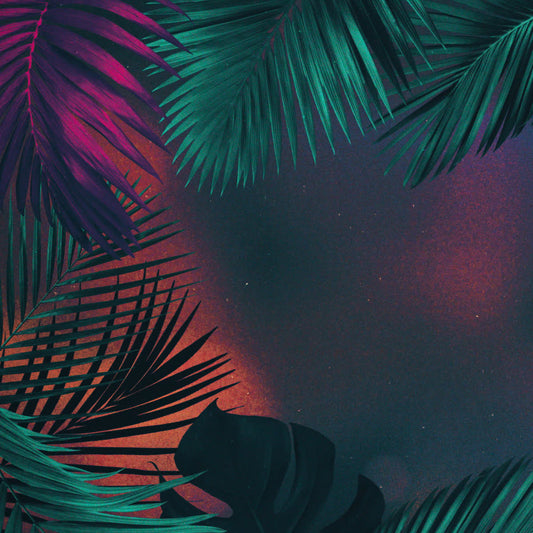 Vibrant Palms Giving Blank