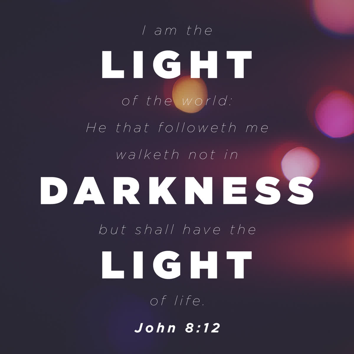 Blissful Bokeh Scripture