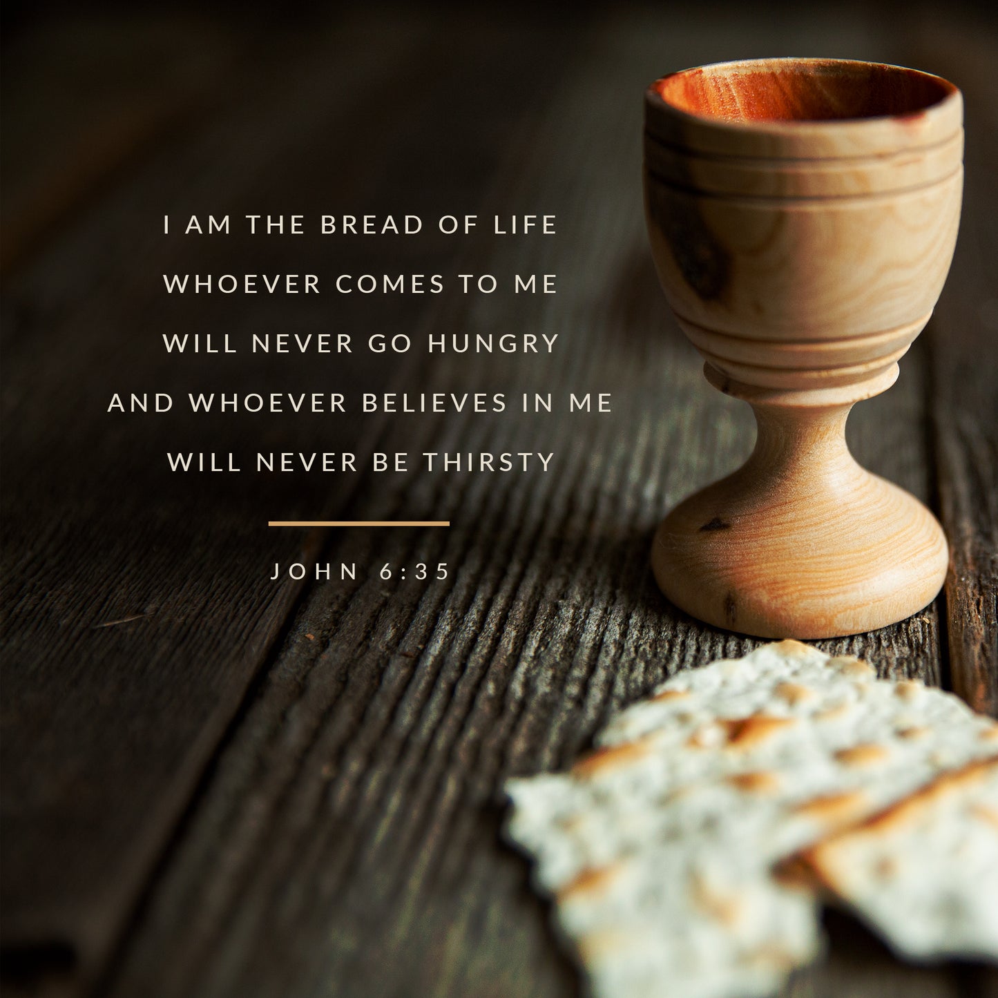 John 6:35