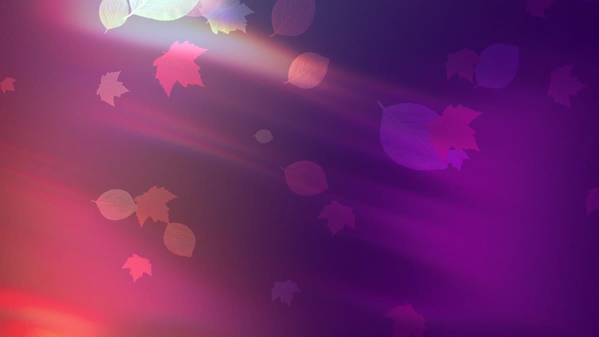 Light Leaves 01