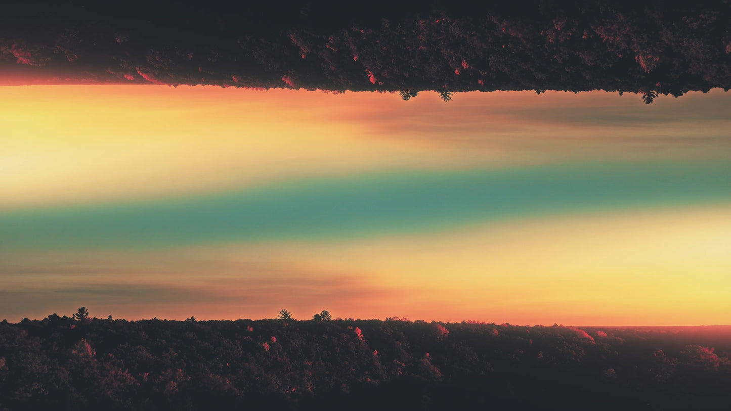 Foliage Remixed 06