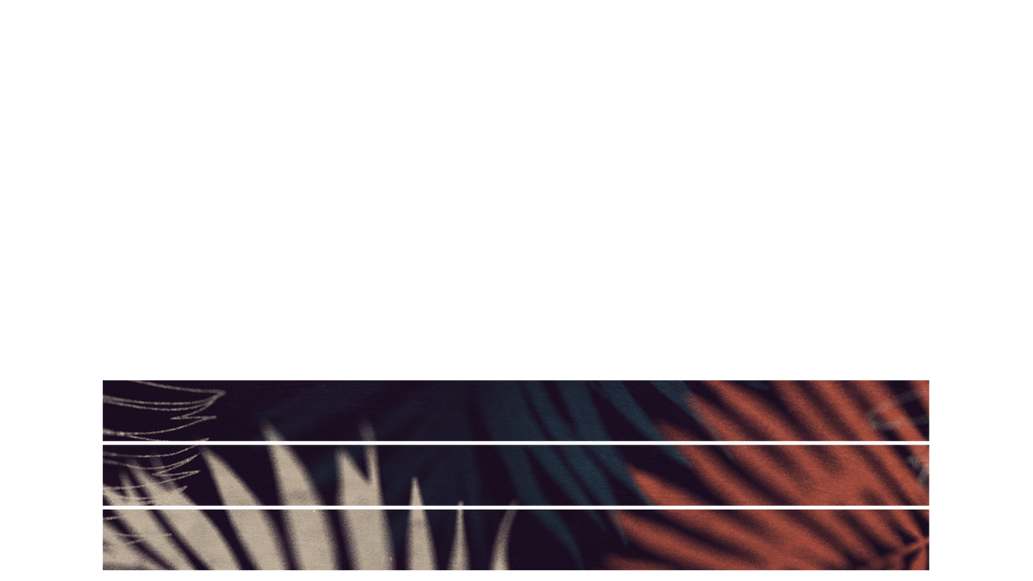 Hosanna Lower Third Blank 03