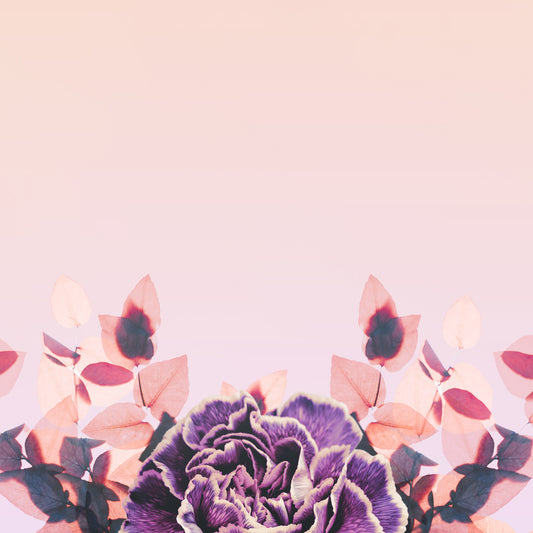 Happy Mothers Day Flowers Blank