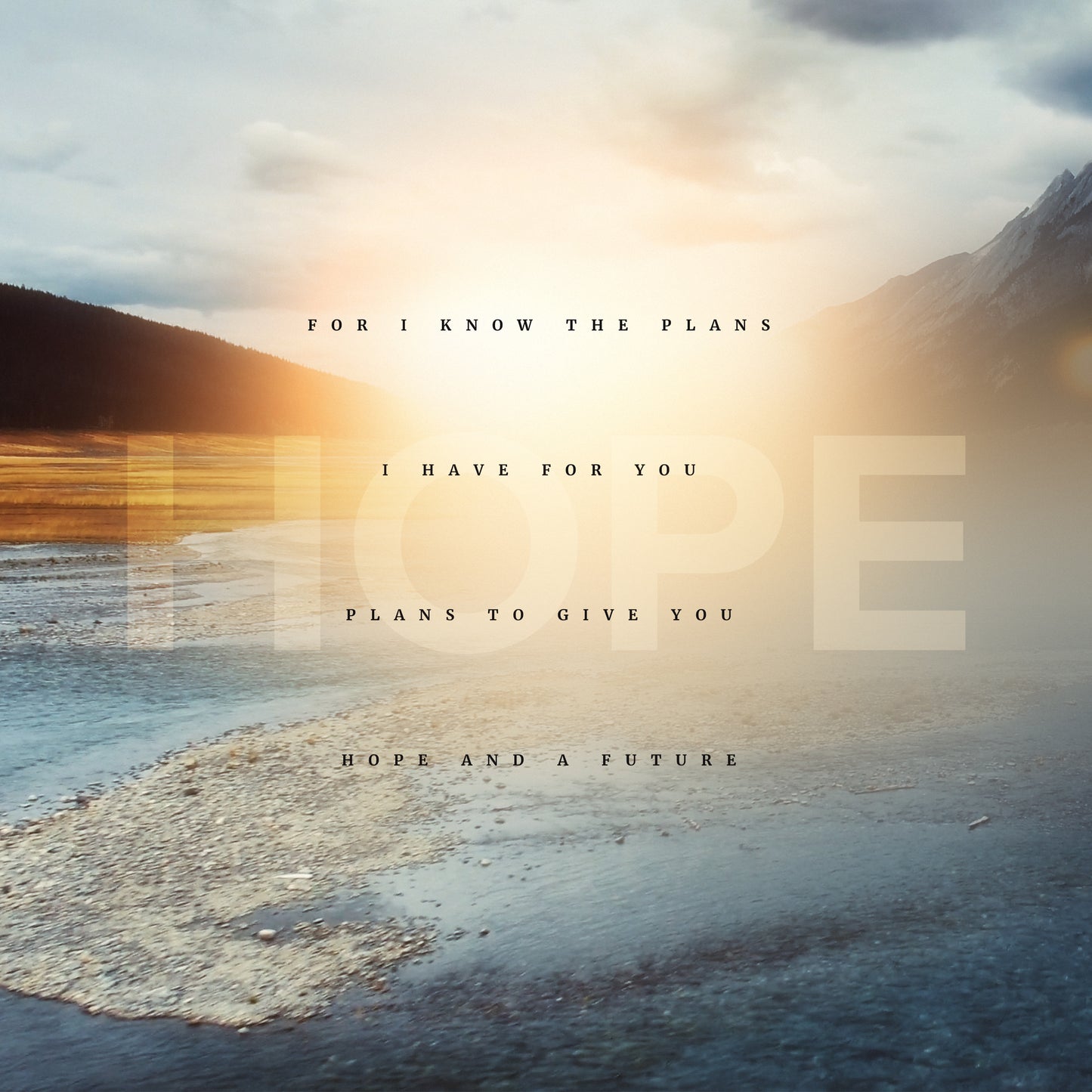 Jeremiah 29:11 Hope