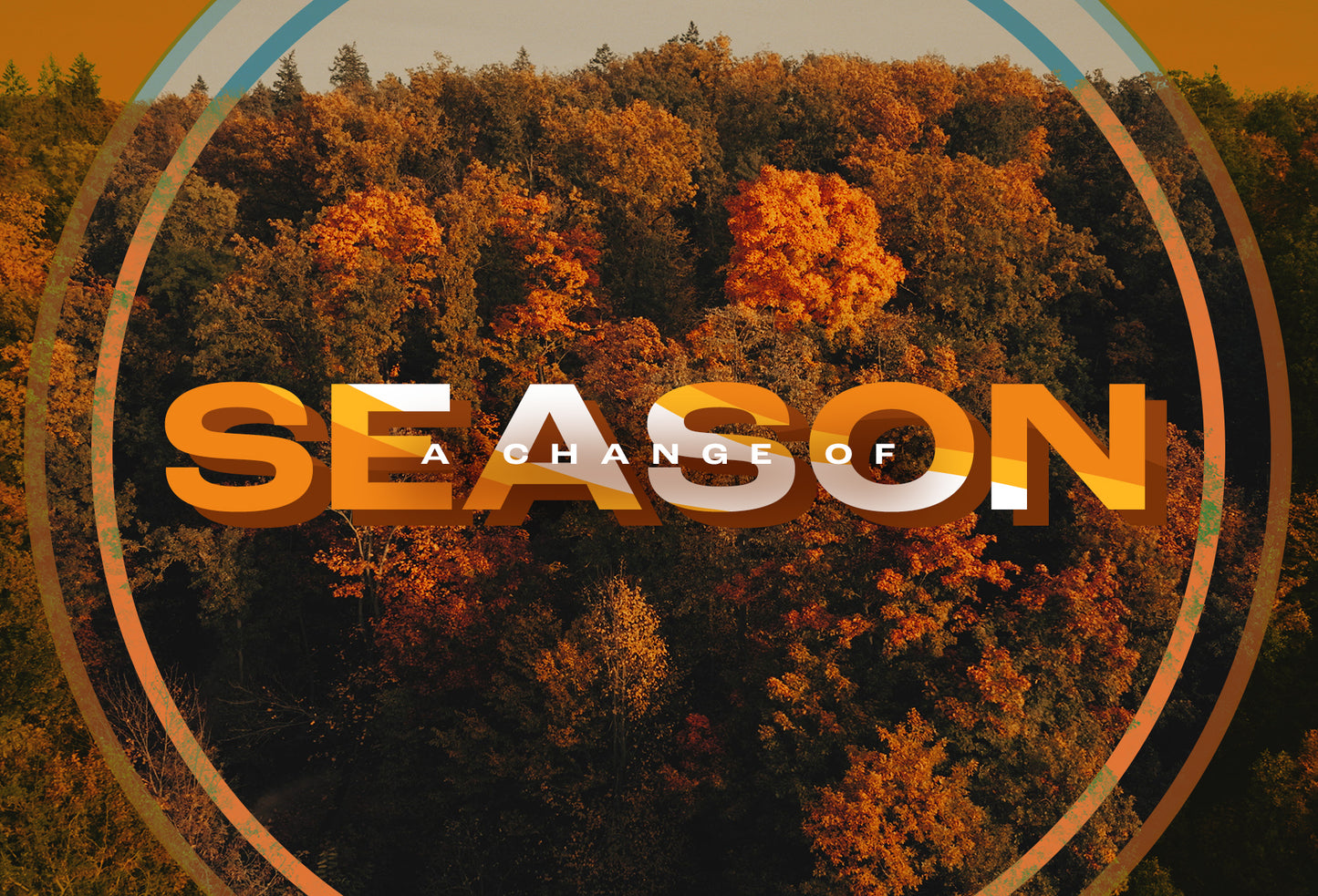 Autumn Foliage 4x6 Postcard