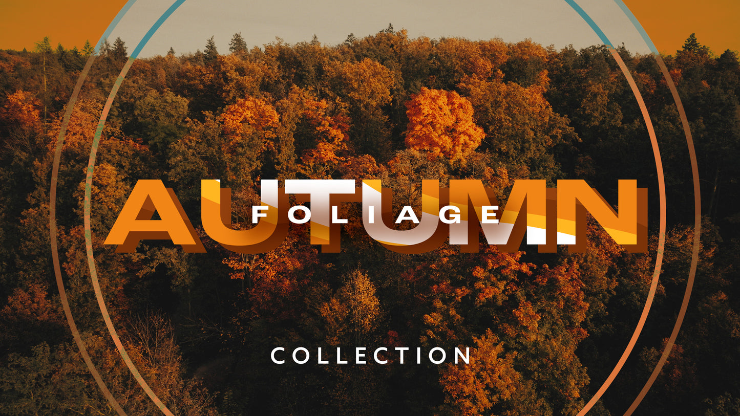 Autumn Foliage