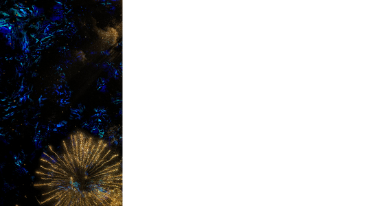 Sparkle Lower Third Left Blank Transparency