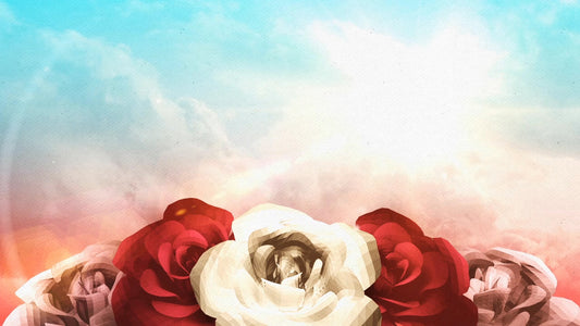 Mother's Day Flowers 02 Still