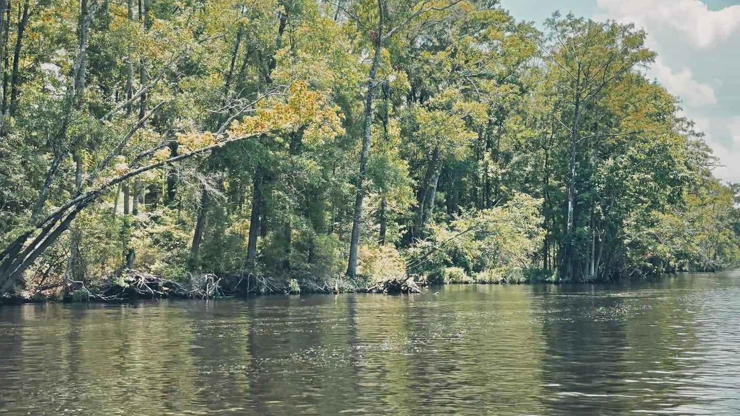River Front 14