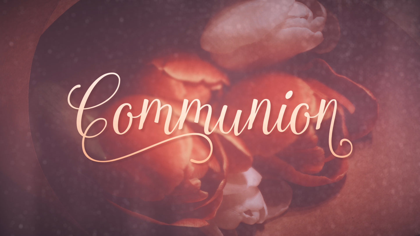 Elegant Flowers Communion Still