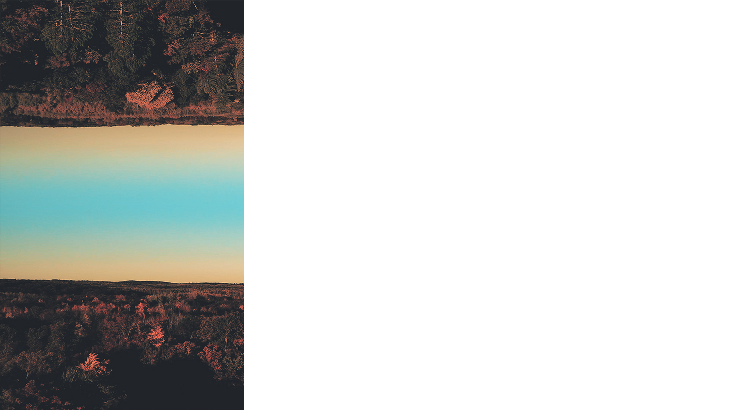 Foliage Remixed Lower Third Left Blank