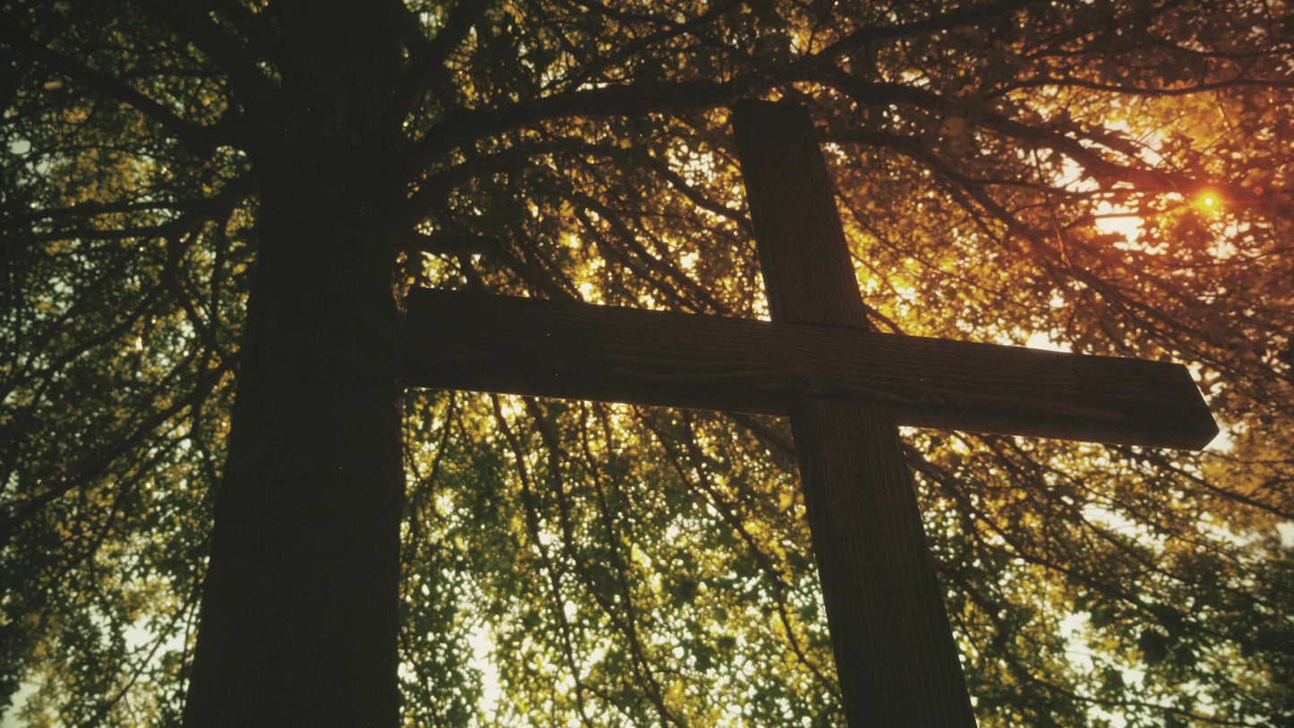 Nature Cross 12