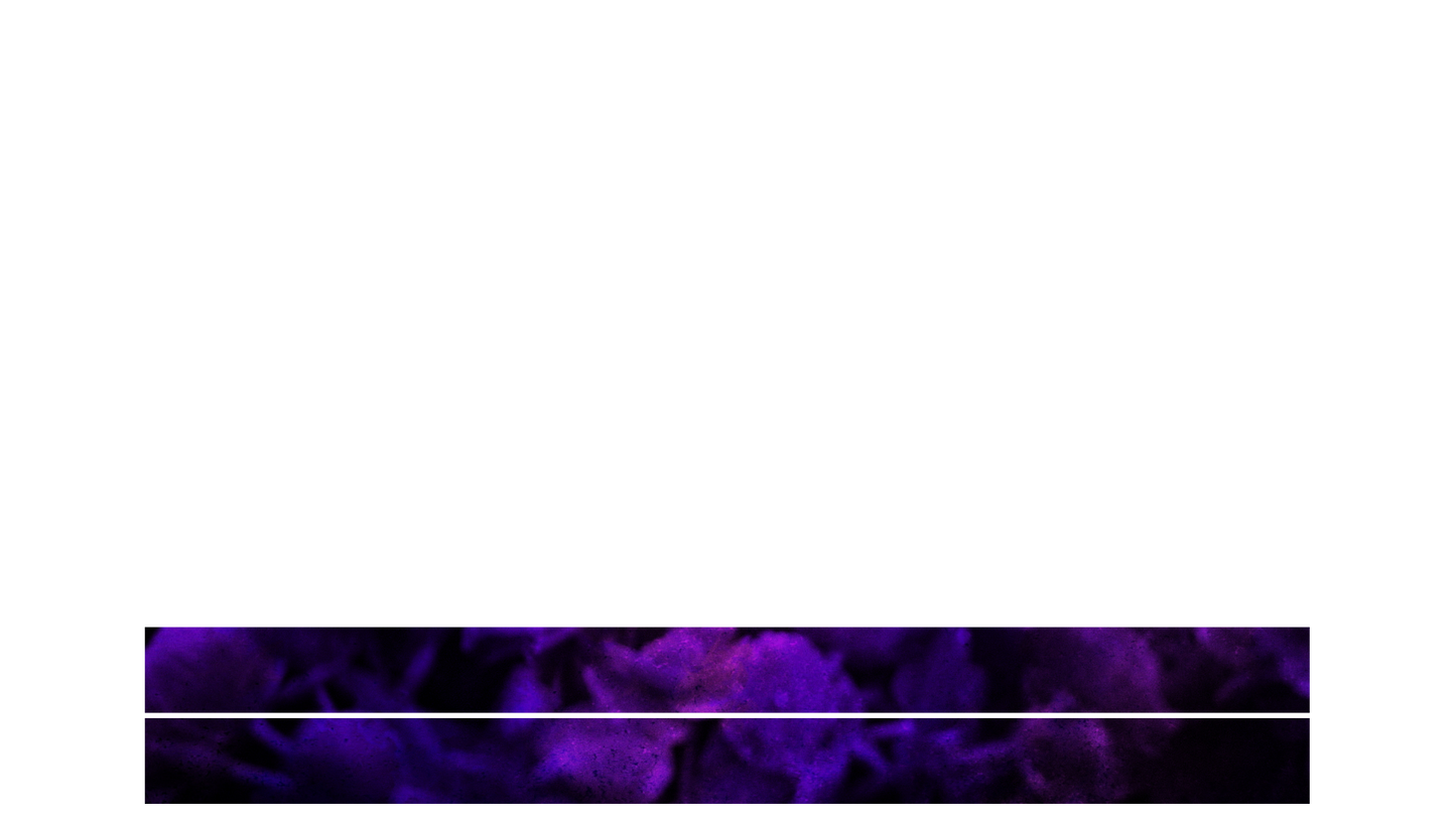Floral Paint Lower Third Blank 02