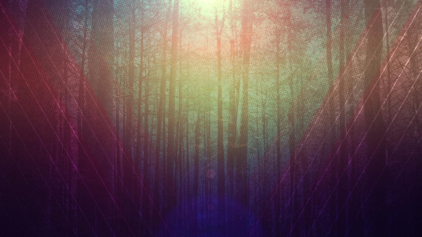 Fall Forest 03 Still