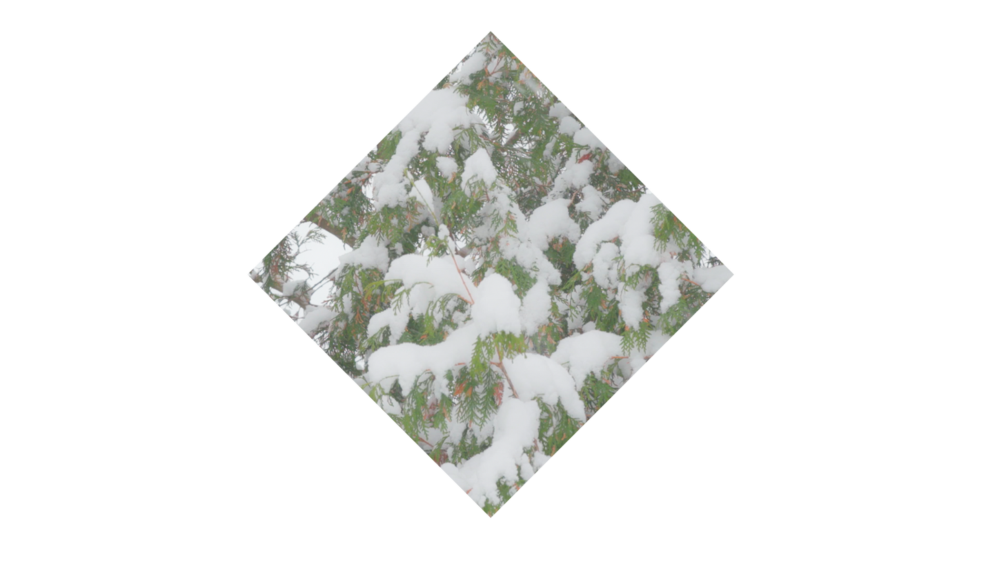 Winter Woods Diamond 02