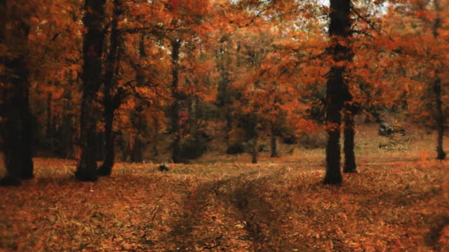 Autumn Vibes 2