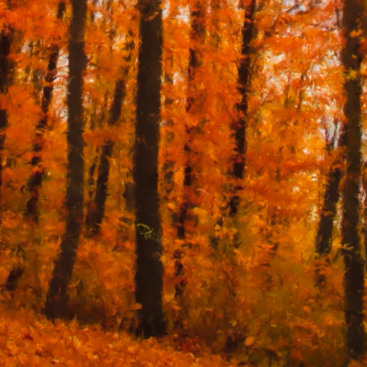 Autumn Vibes Sunday Blank