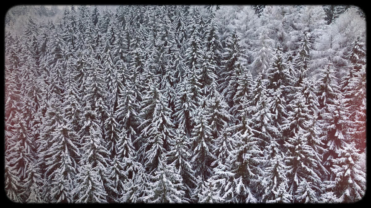 Retro Winter 05