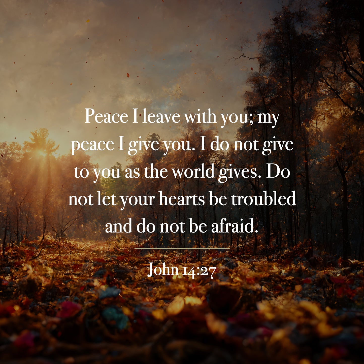 John 14:27