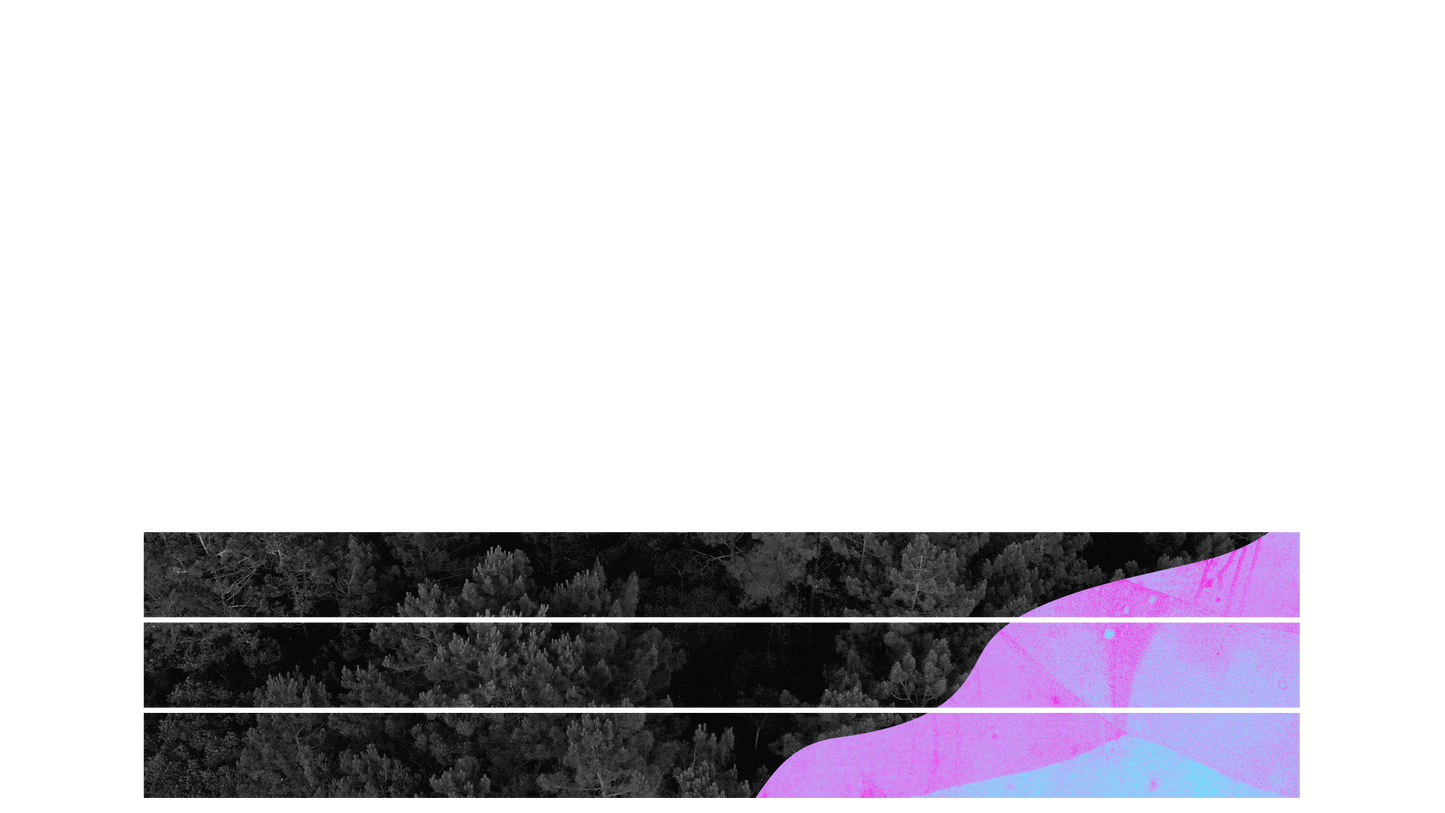 Vibrant Nature B Lower Third Blank 03