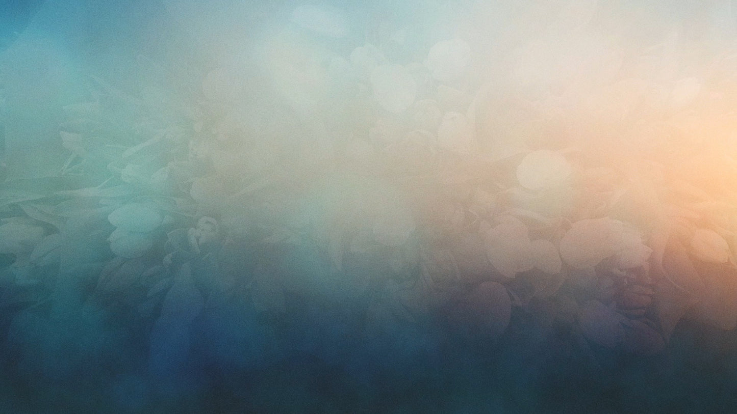 Floral Gradients 02 Still