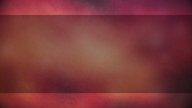 Summer Textures 4 Box