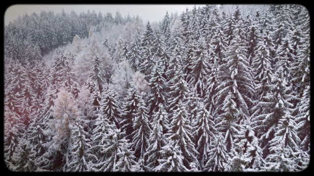 Retro Winter 02