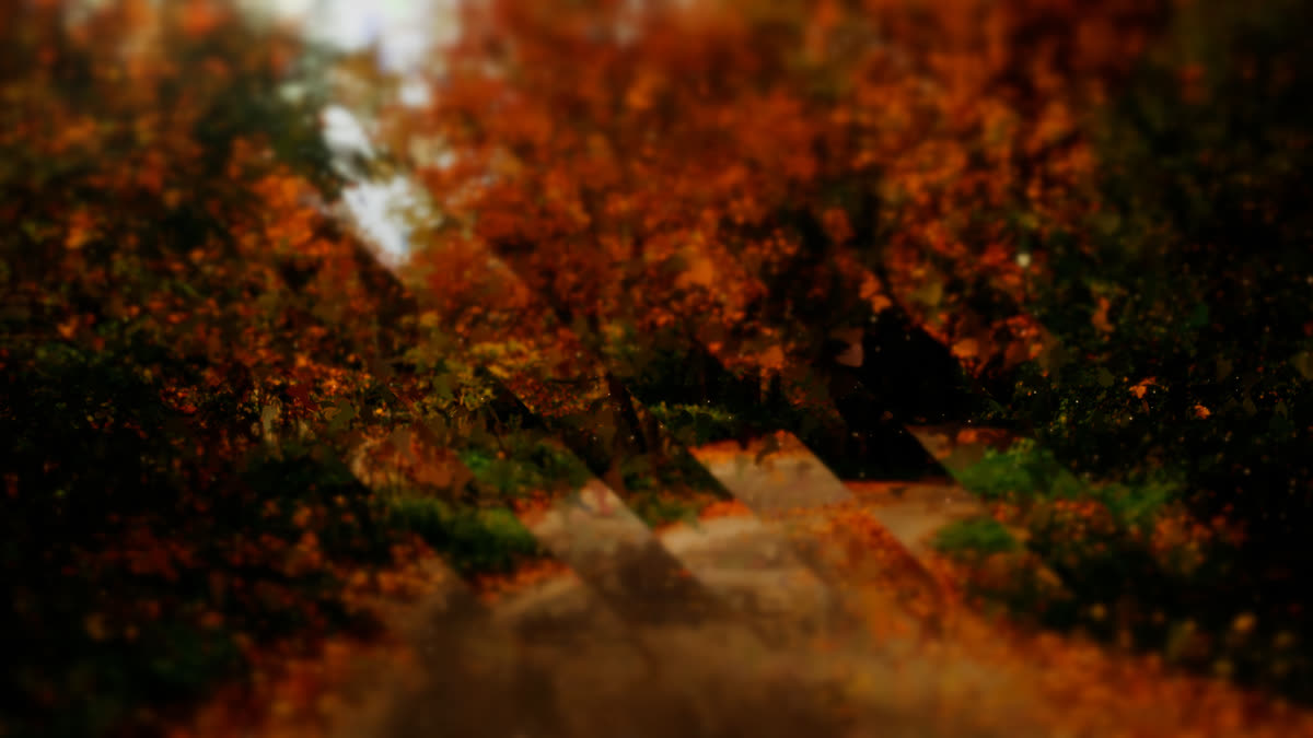 Autumns End 10
