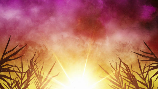Bright Palm Sunday 06