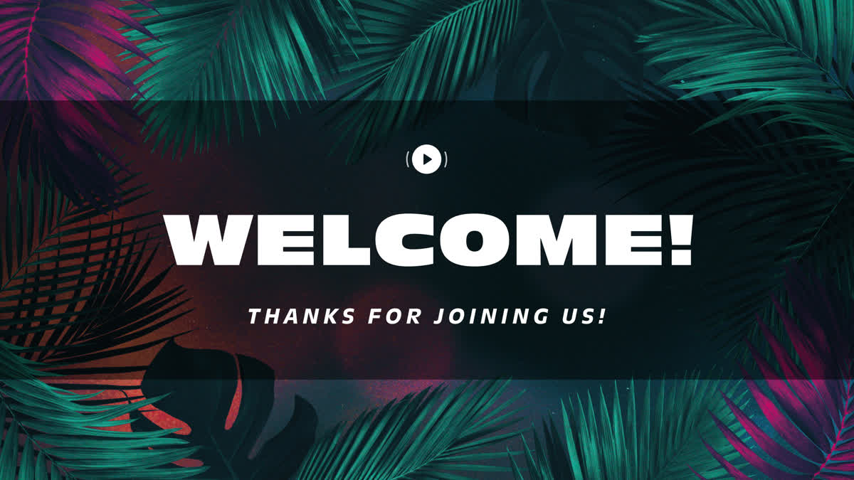 Vibrant Palms Welcome Stream