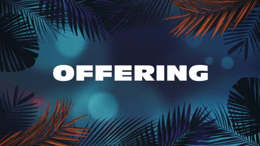 Vibrant Palms Offering