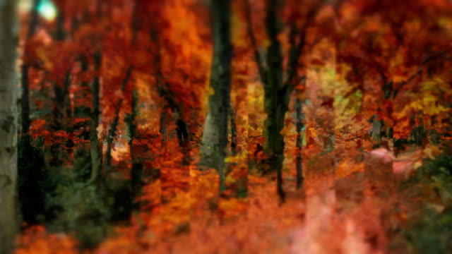 Autumns End 7