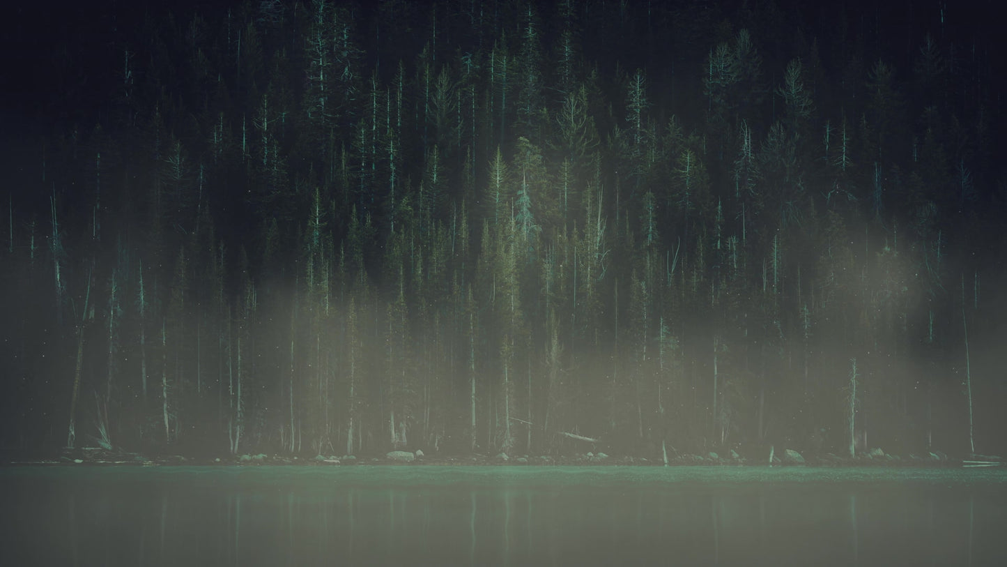 Lumberjack Dad Shoreline