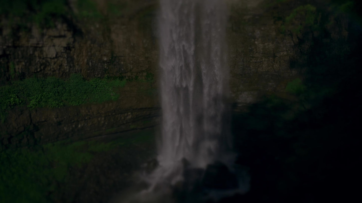 Natures Force 12 Darken