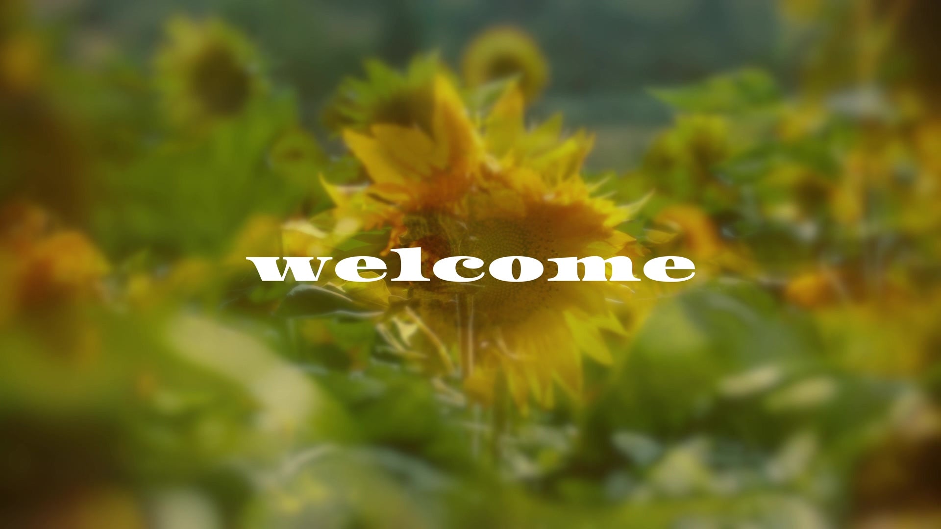 Muted Spring Welcome Still | Shift Worship