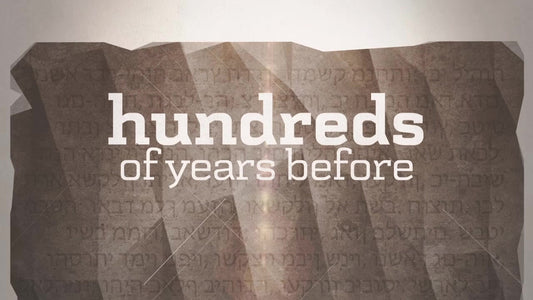 Palm Sunday - We Worship You