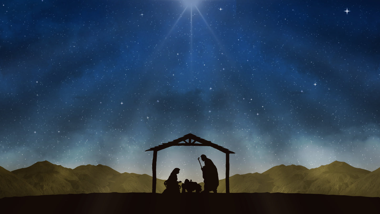 Nativity Night Stable