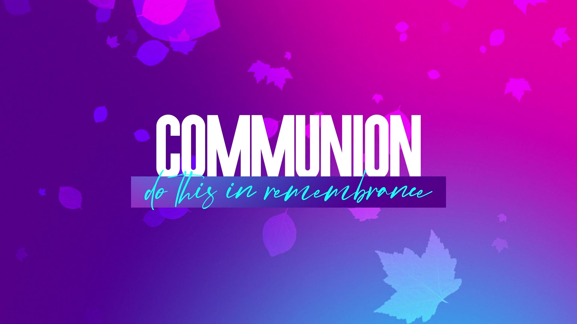 Vibrant Fall Communion | Still | Shift Worship