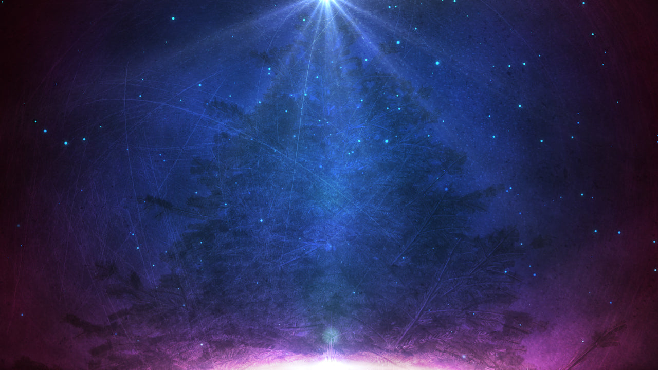 Star and Tree Still