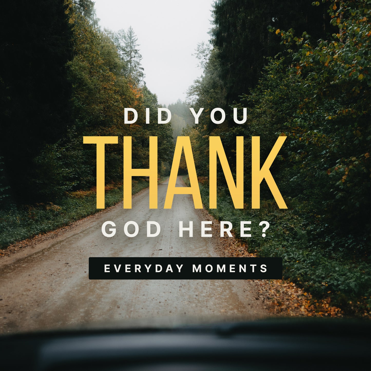 Everyday Moments - Car