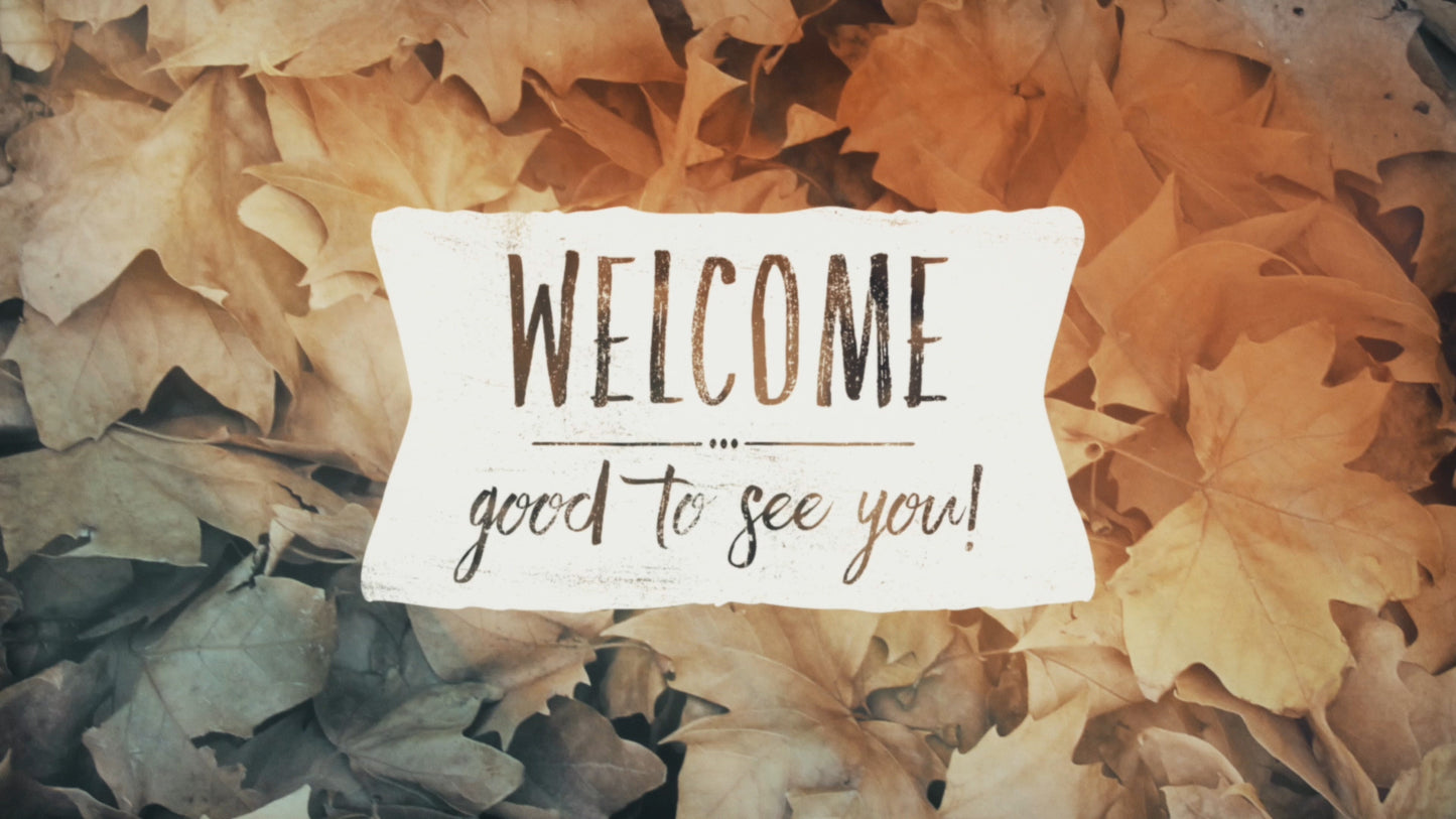 Fallen Leaves Welcome Still