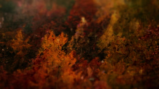 Autumns End 4