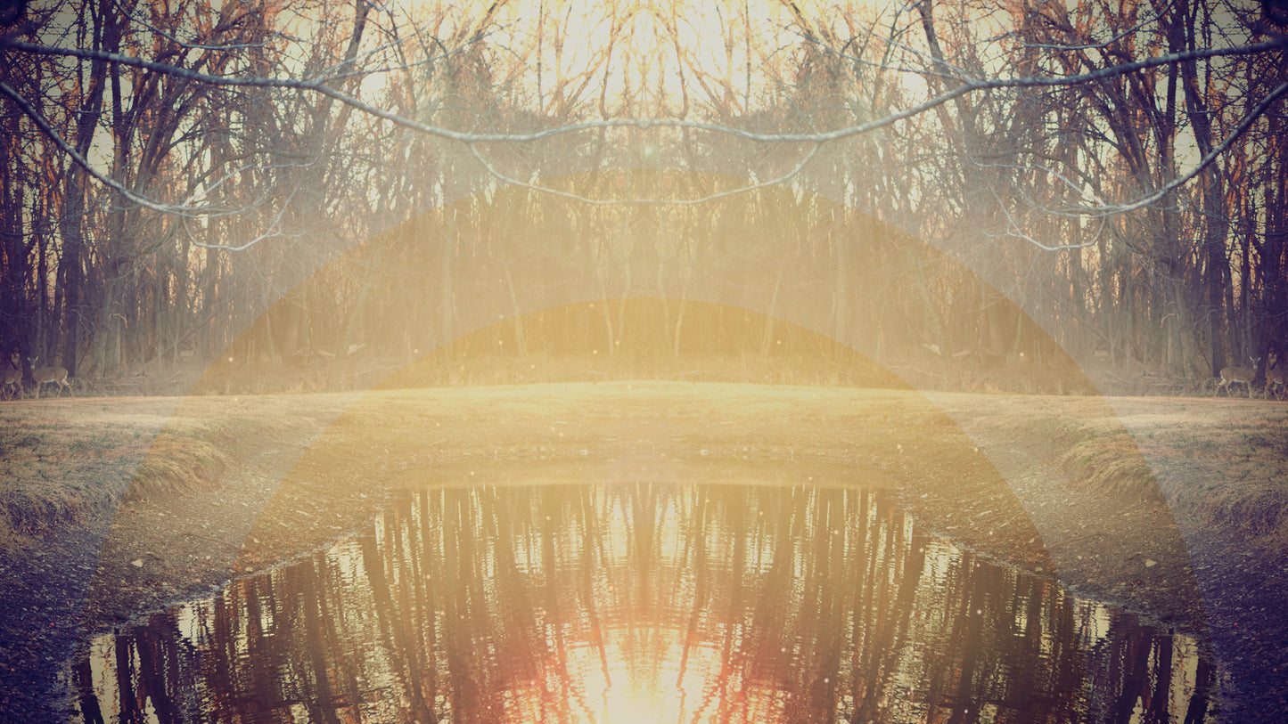 Fall Geometry Pond